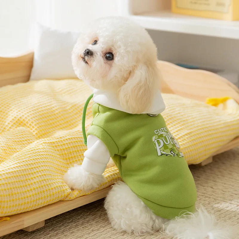 149139-7da7f2.webp