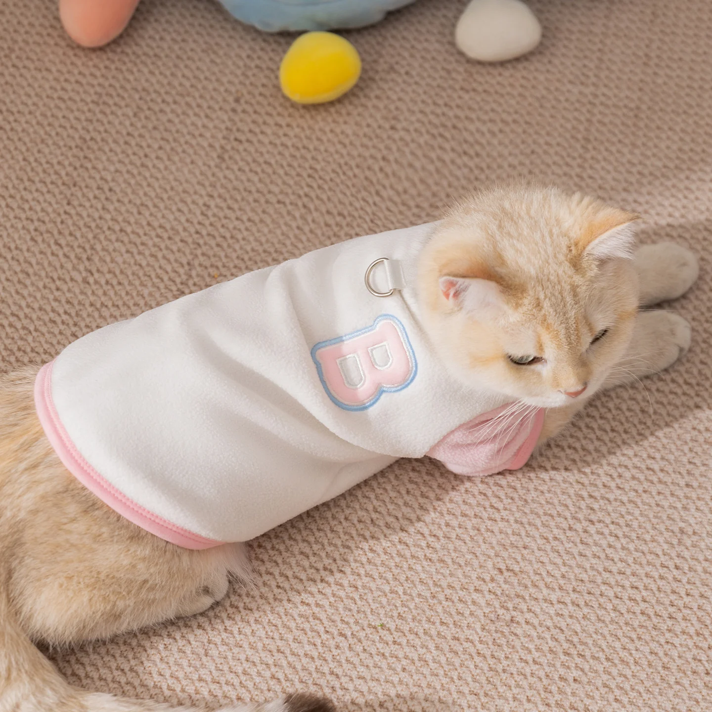 148767-017dbe.webp