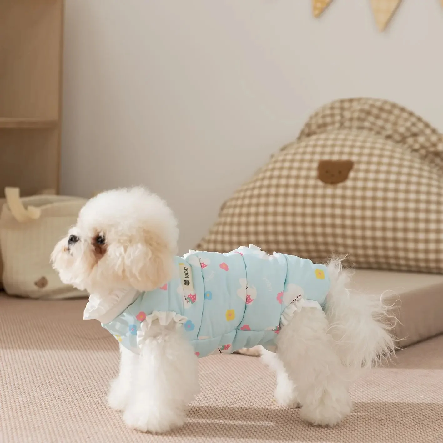 148748-d706db.webp