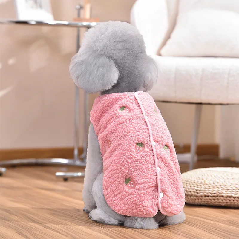 148570-e61c9e.webp