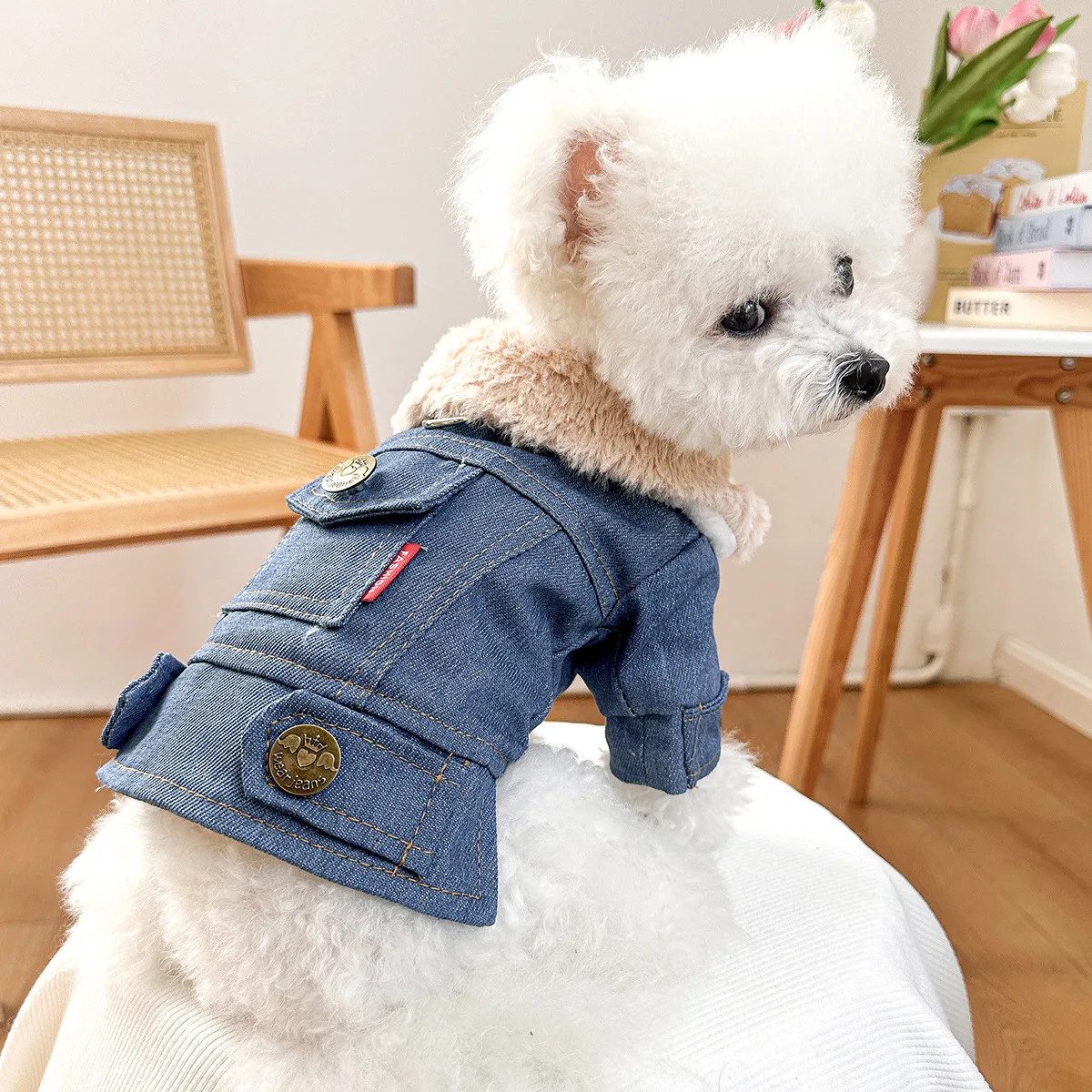 149246-ef17eb.webp