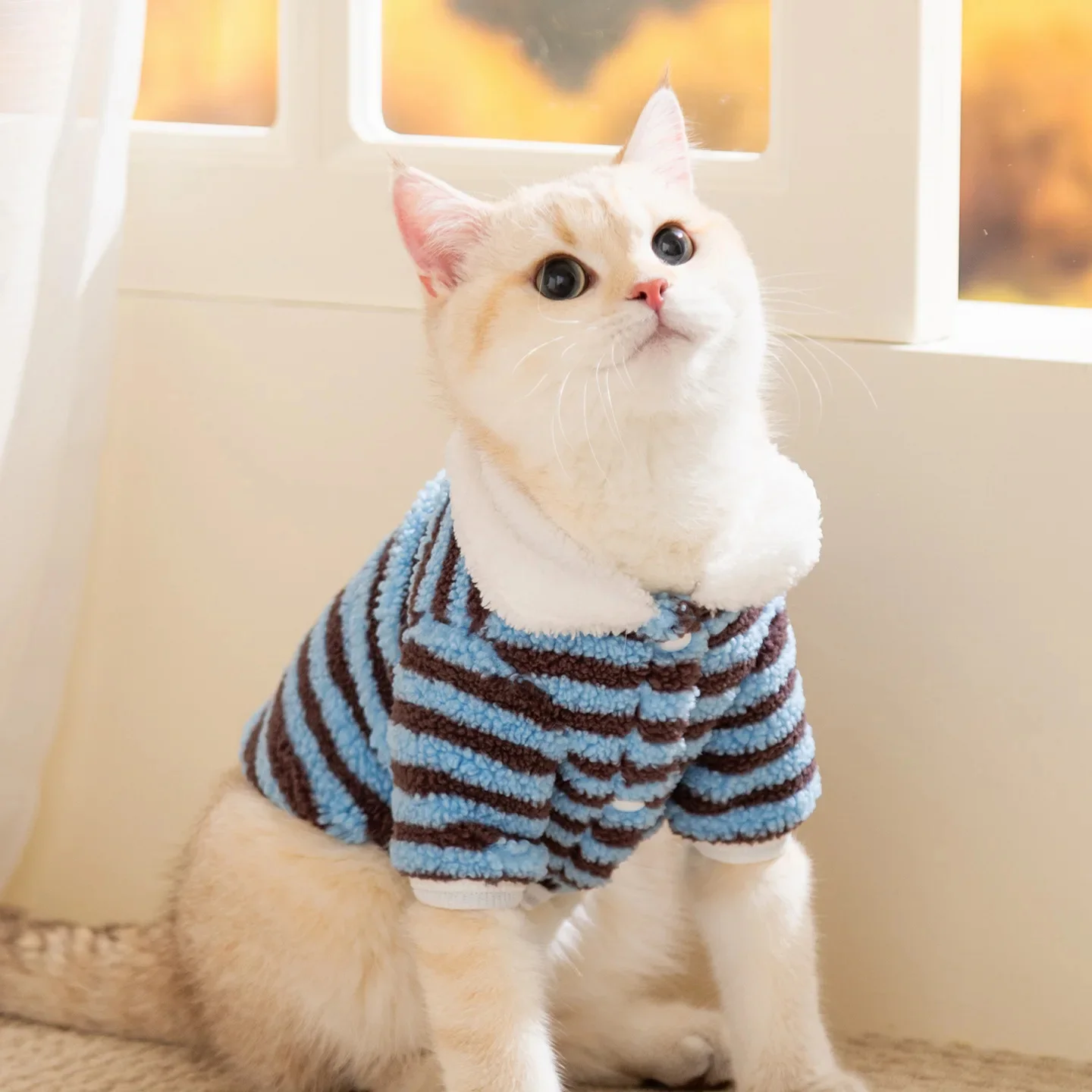 148801-3554c2.webp