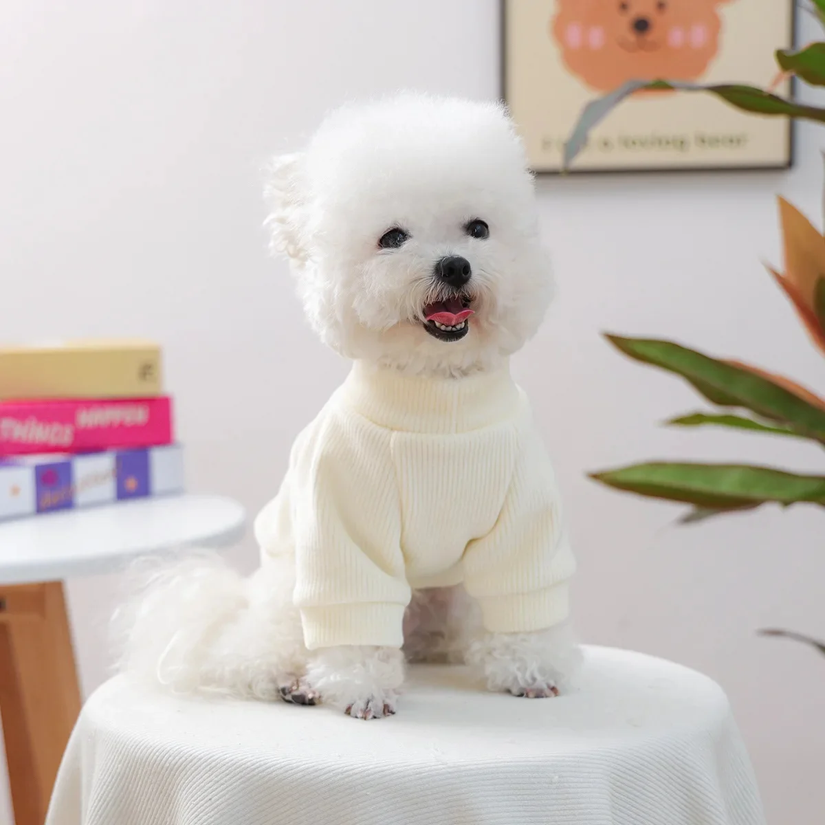 148854-cb0d52.webp