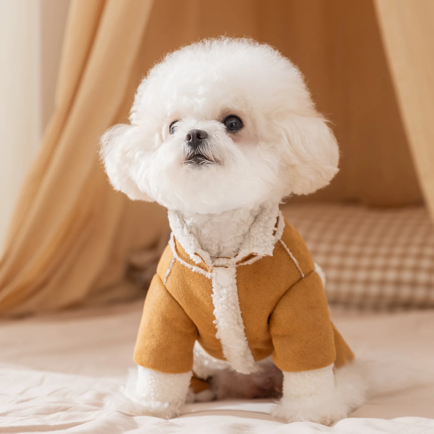 148755-a8d2ed.webp
