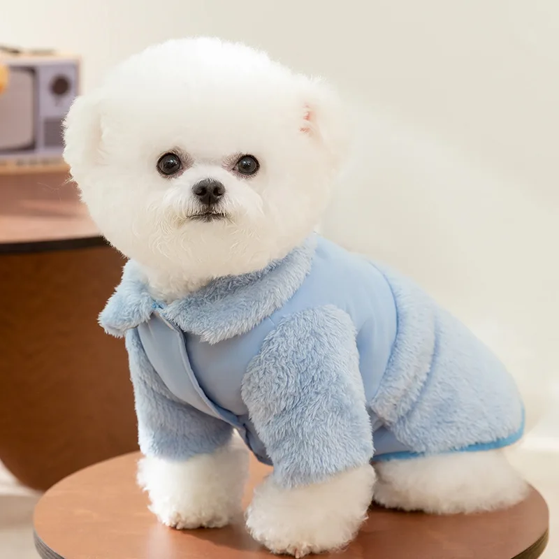 148894-9f7705.webp