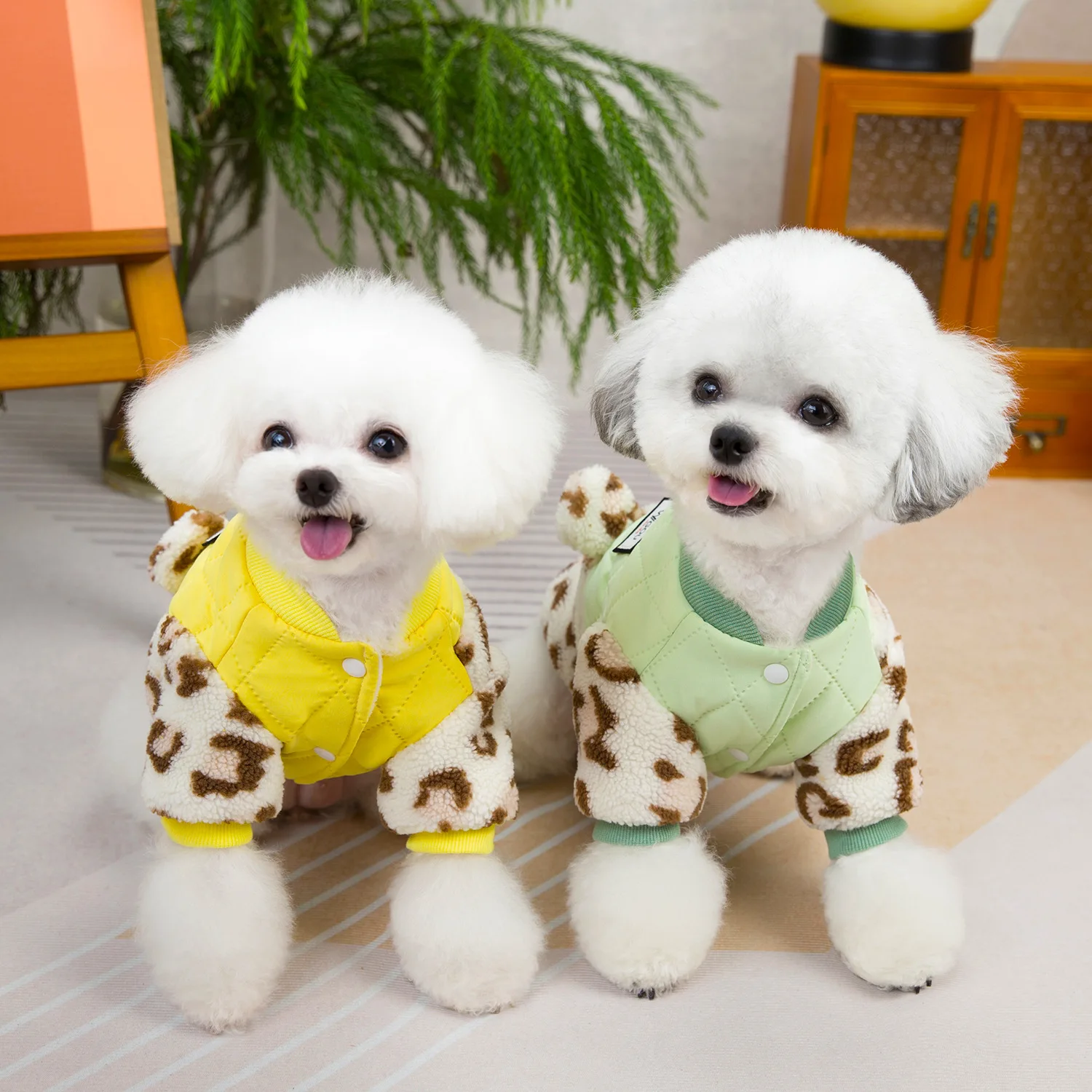 148774-d178d0.webp