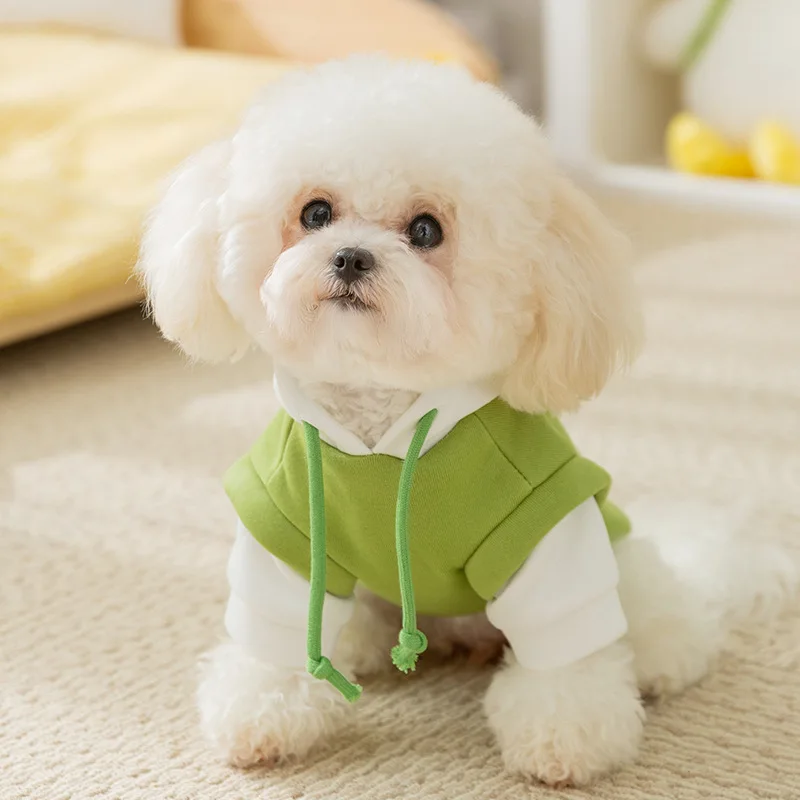 149139-737baf.webp