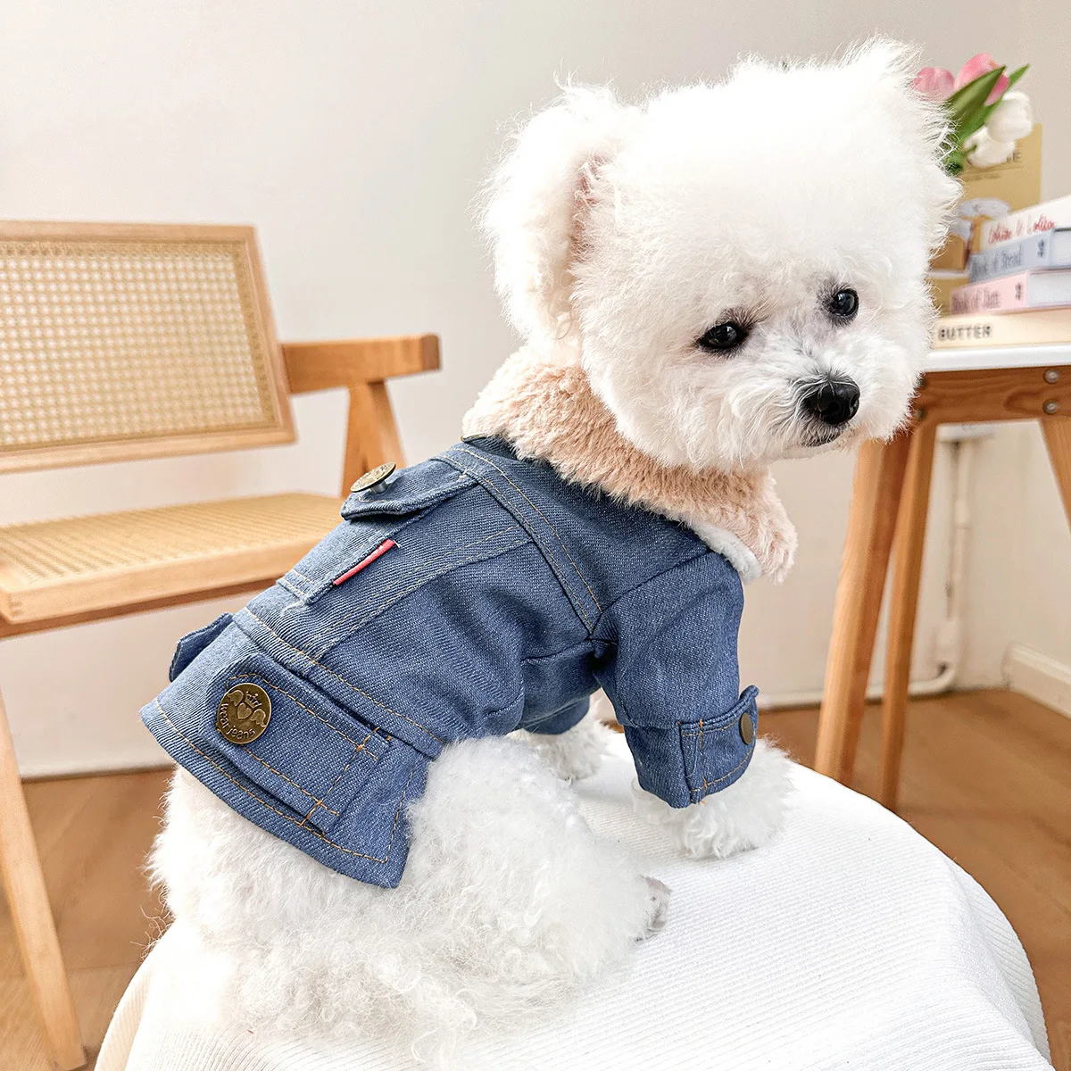 149246-978d5e.webp