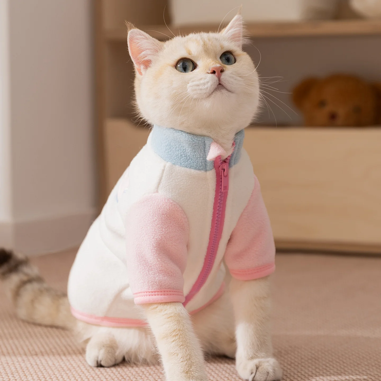 148767-c6e746.webp