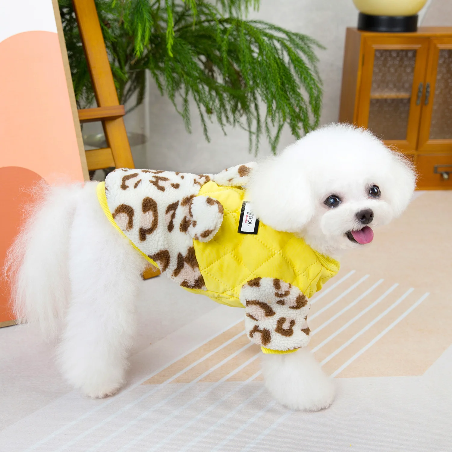 148774-dbce7d.webp