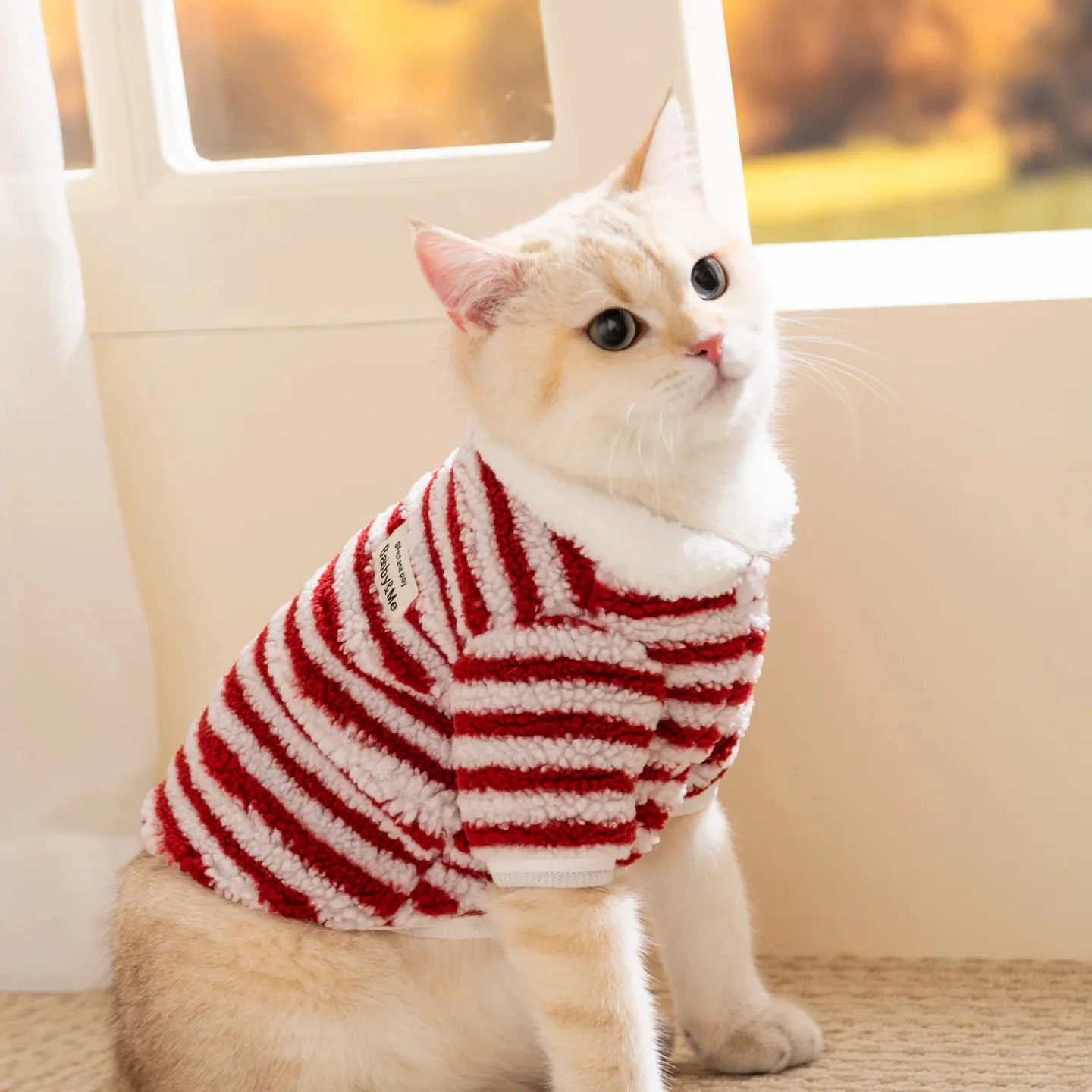 148801-662c21.webp