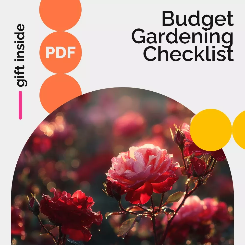 259794-a6c173.webp Descriptive alt text for image 3 - This image shows important visual content that enhances the user experience and provides context for the surrounding text.