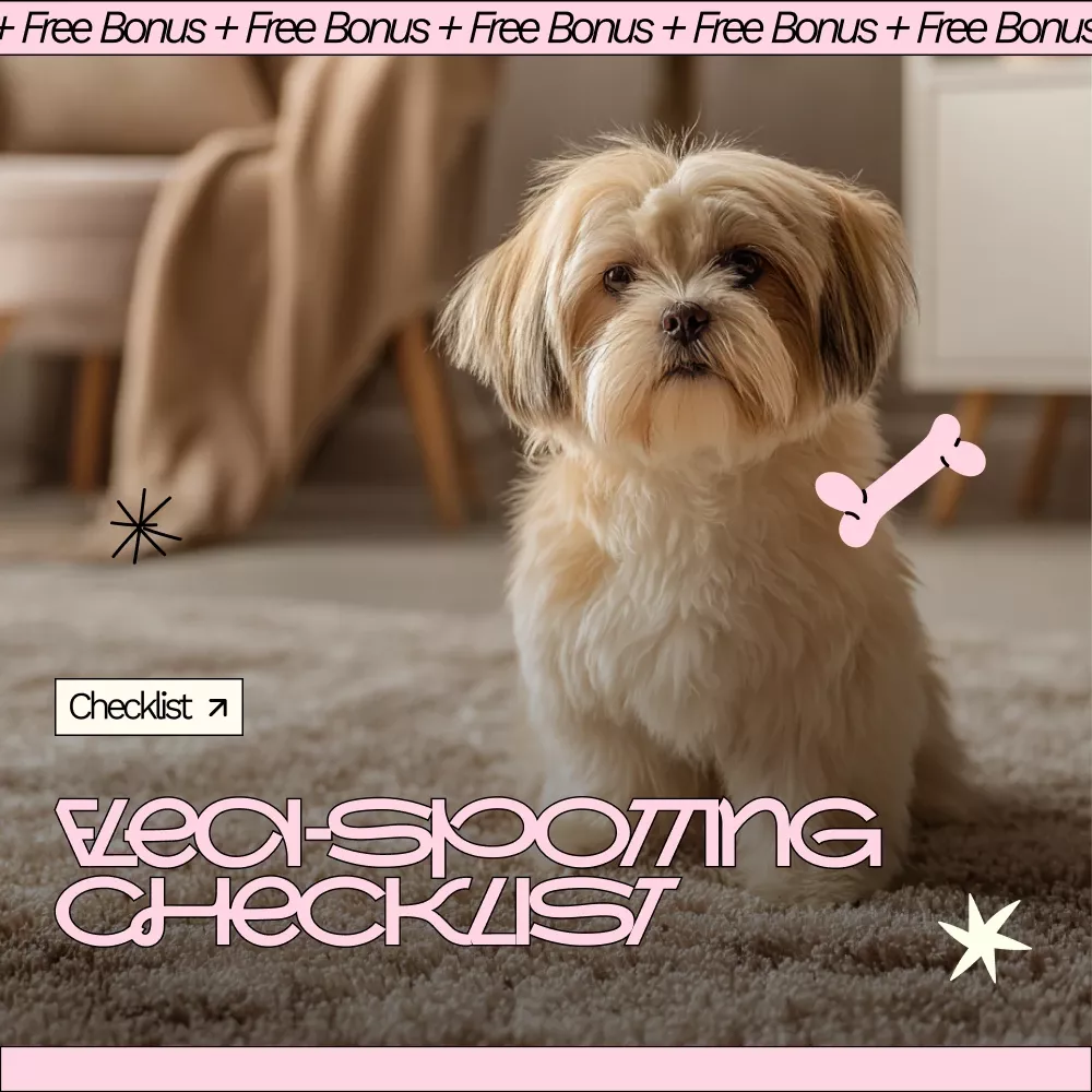 40033-f122be.webp