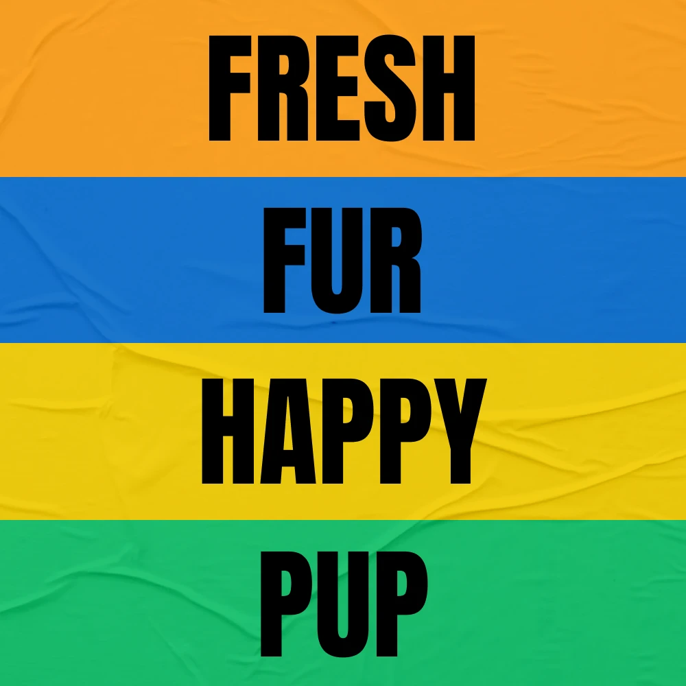 68552-1bffc1.webp