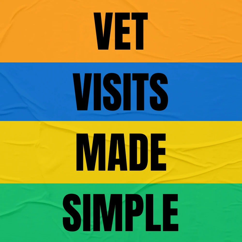 69441-d03e18.webp