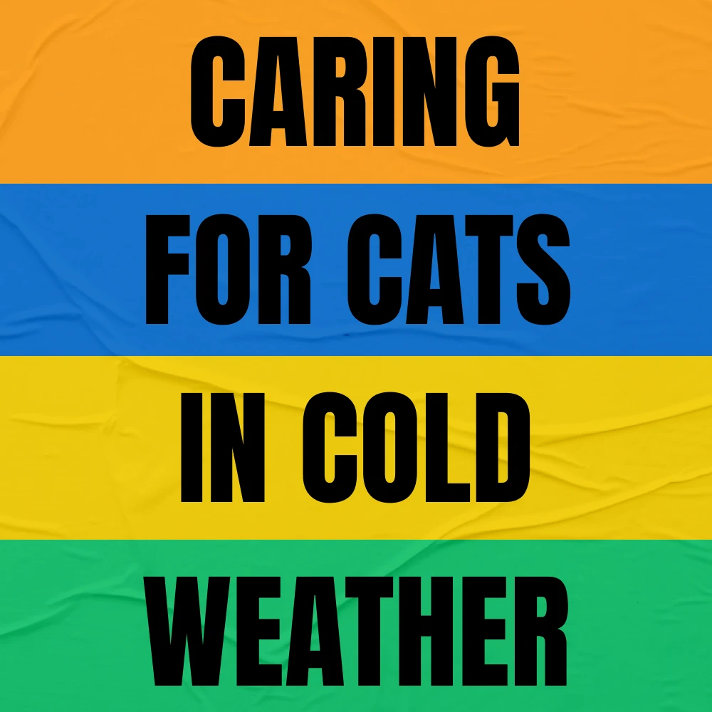 69589-a3a4f4.webp
