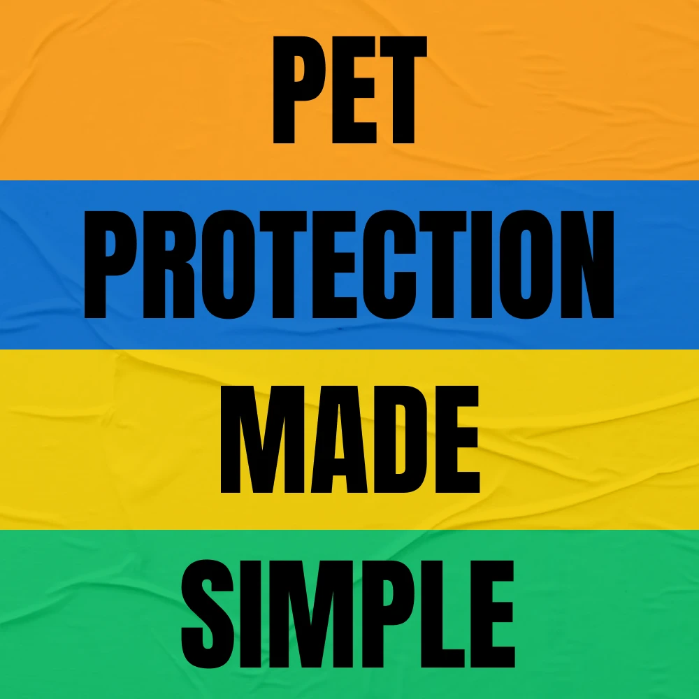 69477-1b455e.webp