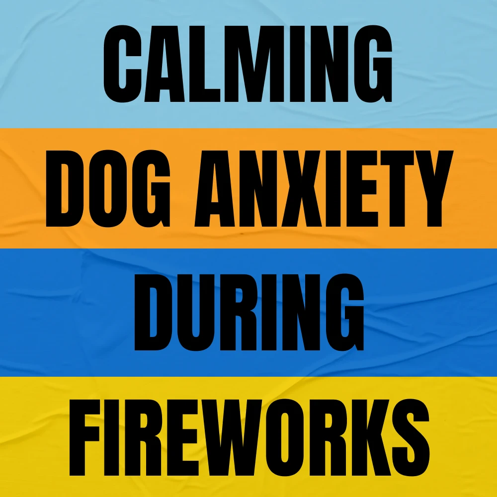 67627-7c85e6.webp