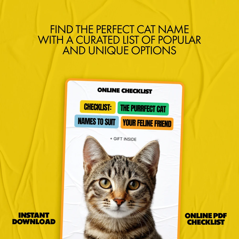 68020-247321.webp