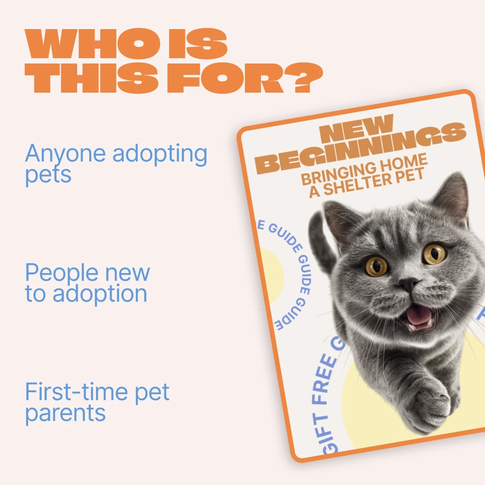 86973-af8f48.webp
