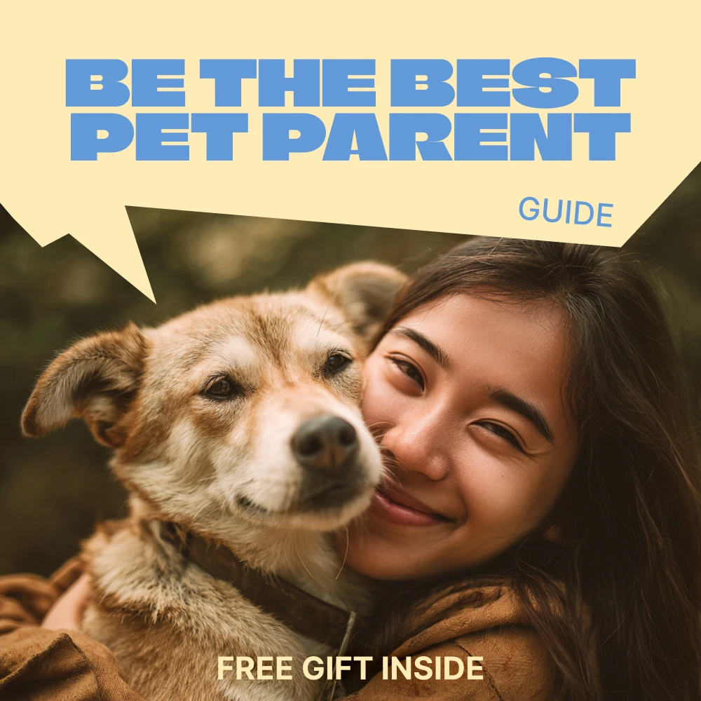 39690-092d57.webp