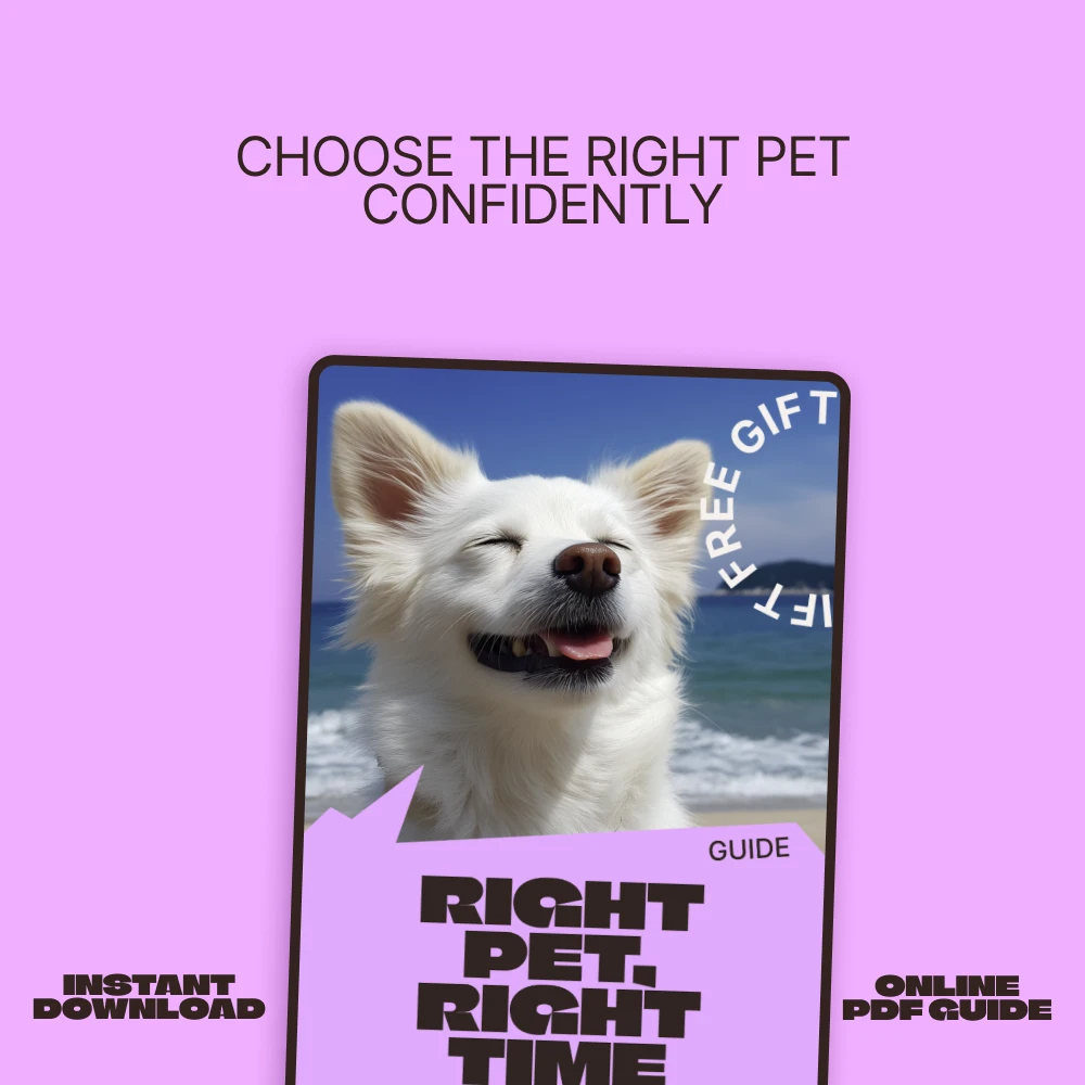 39895-e0d3f3.webp