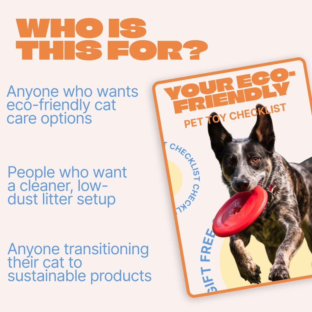 86989-b092b4.webp