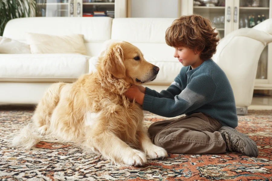 pets with personality