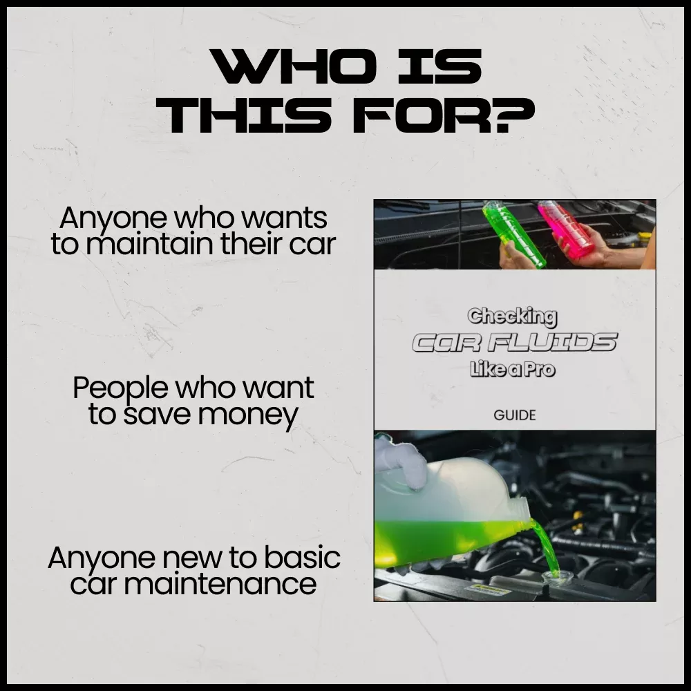 83288-4e6b79.webp