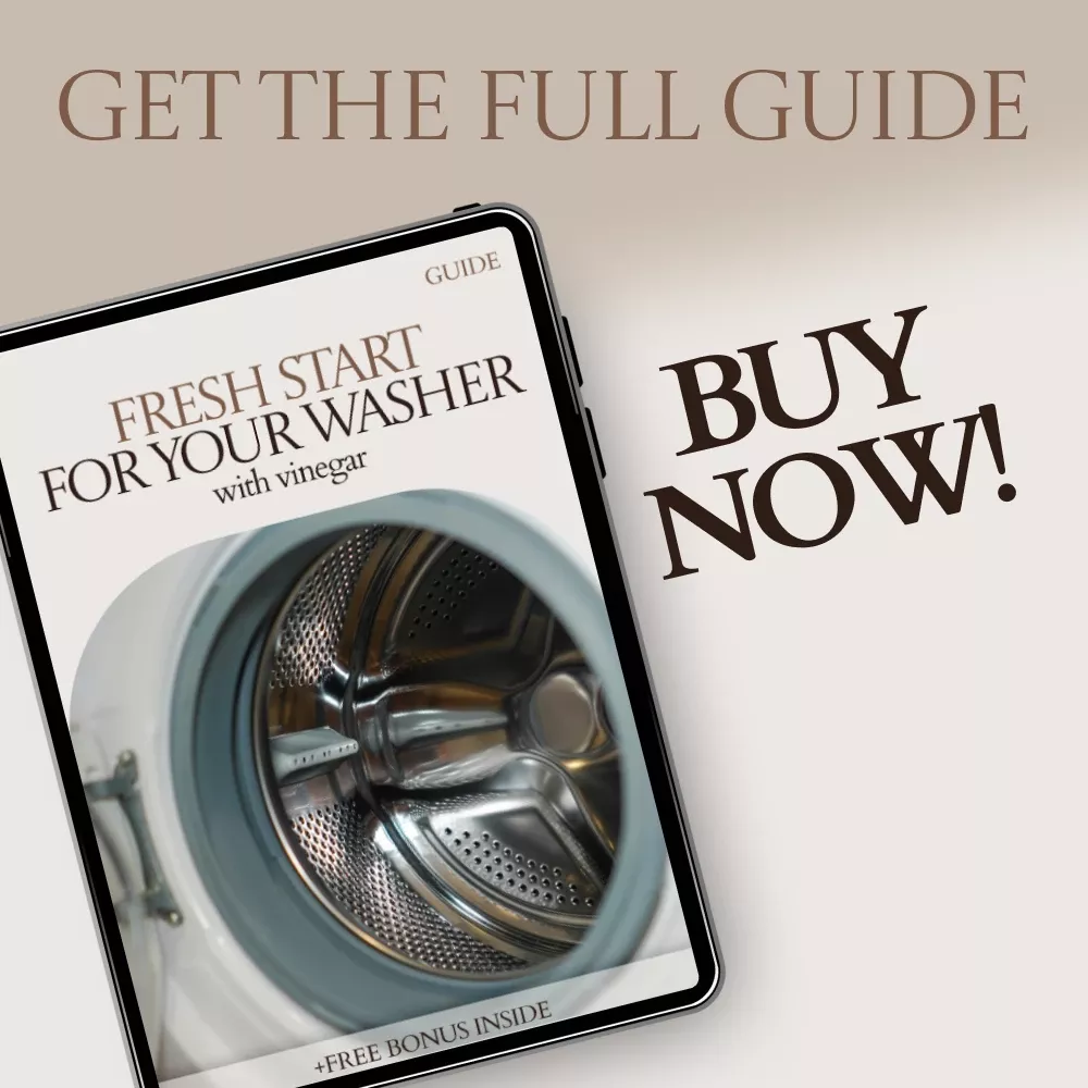 84789-89a3eb.webp