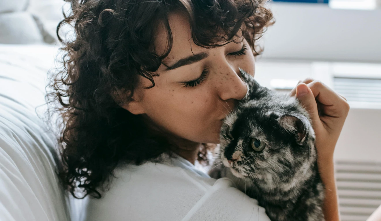 First Time Cat Owner Tips