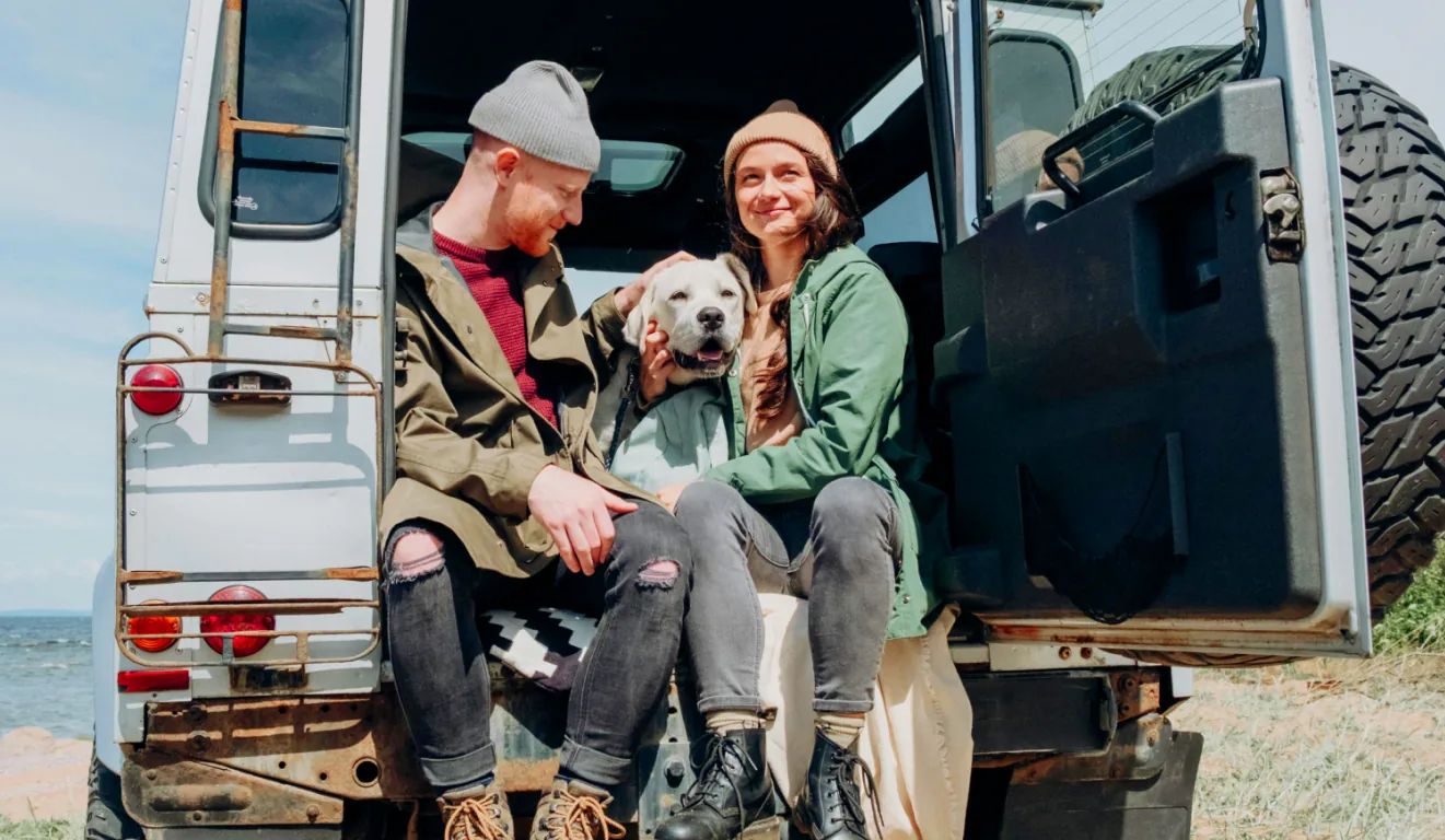 Road Trip with a Dog