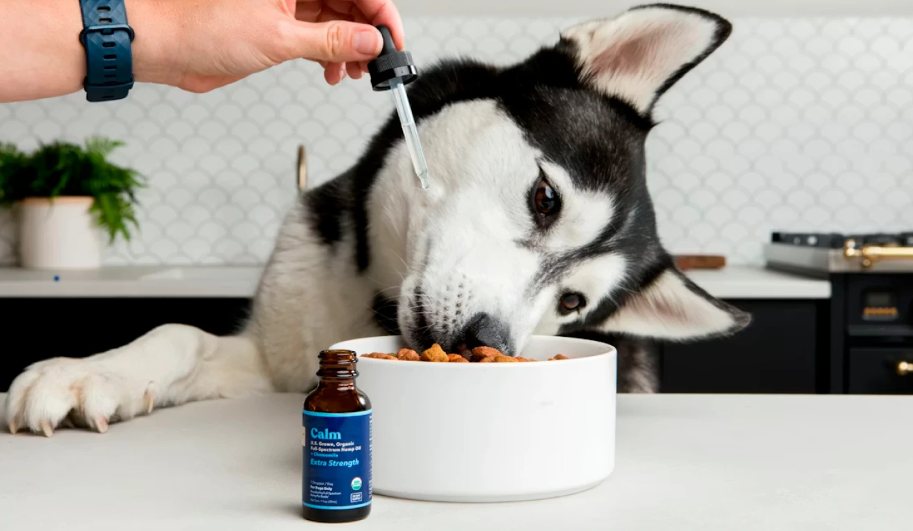 Dog Food Calorie Calculator