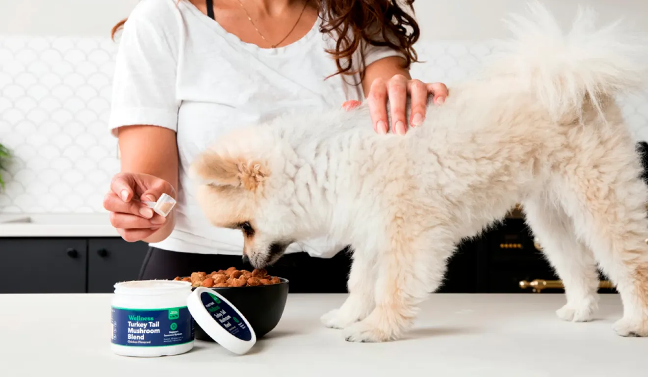 Dog Food Calorie Calculator