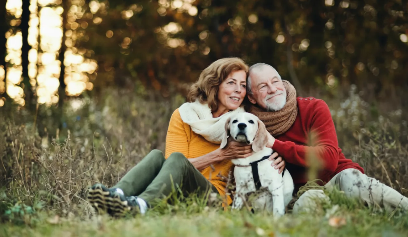 Senior Dog Care Tips