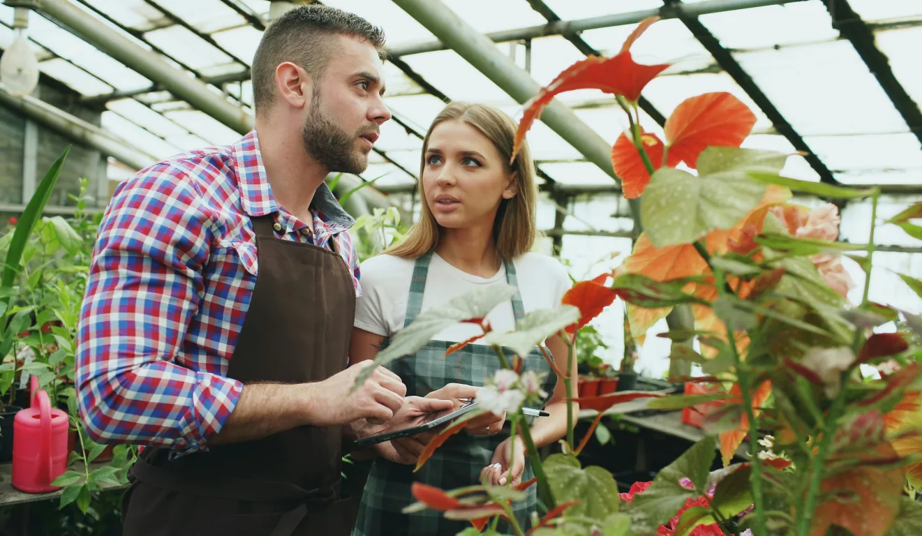 Vegetable Garden for Beginners